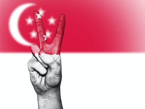singapore flag Pocket option trading